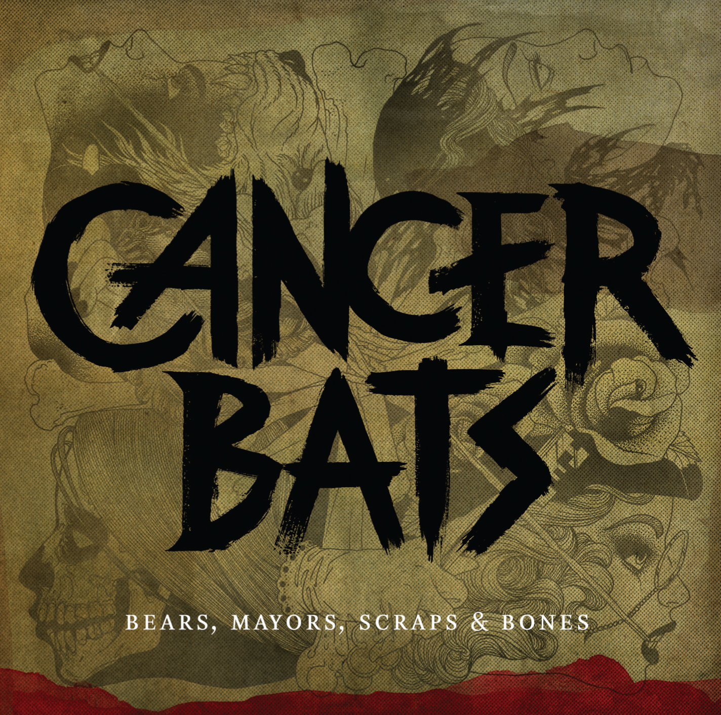 cancer-bats-bears-mayors-scraps-and-bones-aotd.jpg